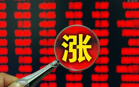 油菜籽国际期货